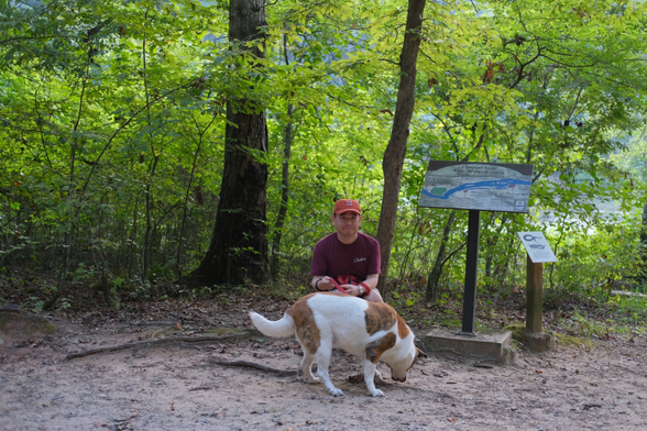 A man and a white/brown medium/large dog in a park with trees behind.