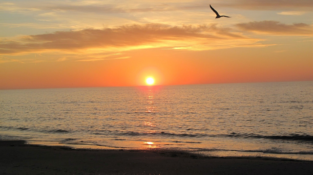 The first sunrise of 2012 on the beach of St George Island, Florida, USA. A seagull graced the scene. 