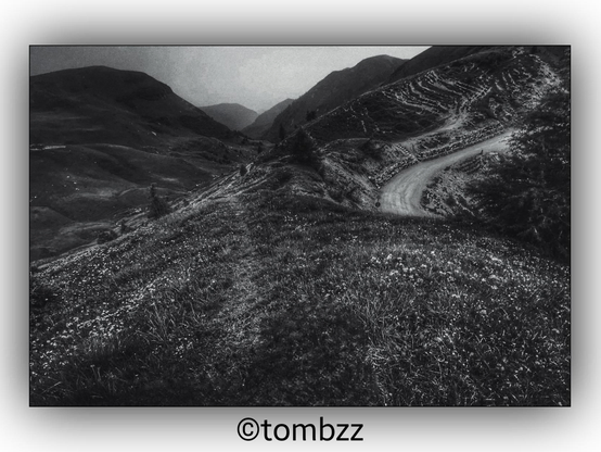 A black and white photograph showing a scenic landscape with lush greenery. On the left side of the image, there's a gravel road winding through the scene. In the background, you can see rolling hills and a clear blue sky with a few scattered clouds. The overall atmosphere is serene and picturesque.