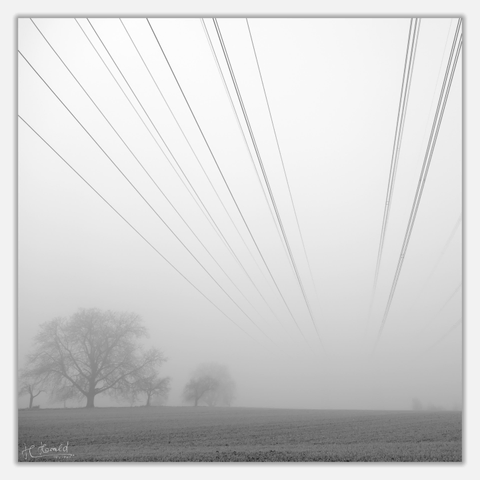 Square black and white image of power lines that disappear into the fog slightly to the right in the background with a light grey narrow frame. At the bottom you can see a wintry field with some leafless trees standing in the fog at the upper edge.