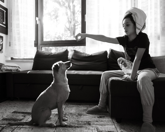 Profile wide angle black and white photography of a girl sitting on the couch handling a treat to a dog that is sitting patiently in front of her waiting for the treat.  The scene is back-lit by a large window .
#bw