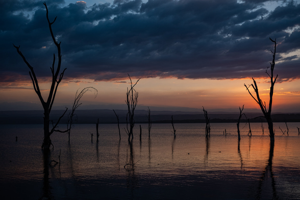 Sunset on Lake Nakuru's flooded trees