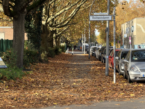 A sidewalk, covered in brown leaves, trees line the left of the sidewalk, cars line the right. There is a scooter and a bicycle in the distance.

In the foreground is a street sign saying "Reichweindamm".