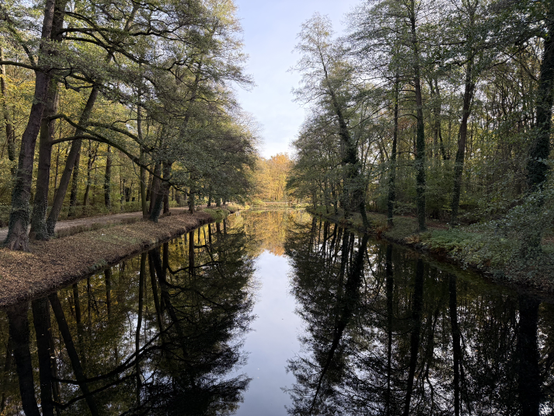 A small canal in a wooded area, the left shore has a few trees and the ground covered by golden brown leaves while the right shore has is lined with more trees and the ground is more green.

The water of the canal is reflecting the trees and the blue sky.

In the distance, there are suntouched trees.