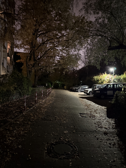 A quiet street, with leaves lightly scattered on it. There is a sidewalk with bushes and a tree lining it to the left, and parked cars to the right. There is a bright lamp between the parked cars that lits the entire scene.

Picture taken in Moabit, walking past the Spree.