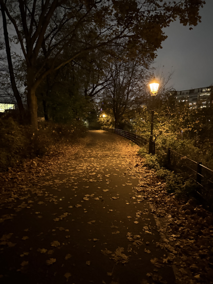 A small pedestrian/bicycle path with leaves covering it. There are trees and bushes on the left side, while a fence and two orange street lights are on the right.

Picture taken in Moabit, following the Spree.