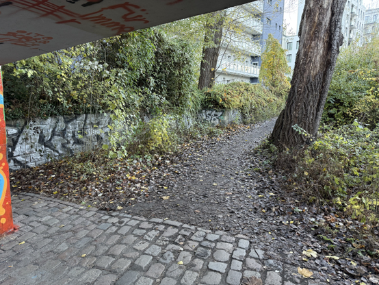 A muddy path as seen from under a bridge. There is a tree on the right, and brown leaves, a wall, bushes and trees to the left.

Picture taken in Moabit