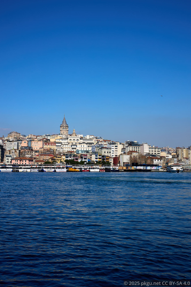 The Golden horn, from the old street.