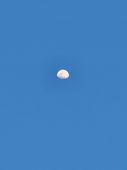 Bone moon