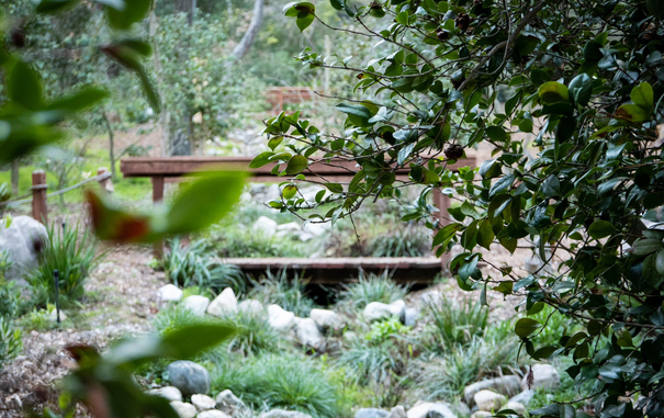 Short walk bridge, over a dry creek, seen through shrubs and tree branches. The area is green and with some stones along a path.