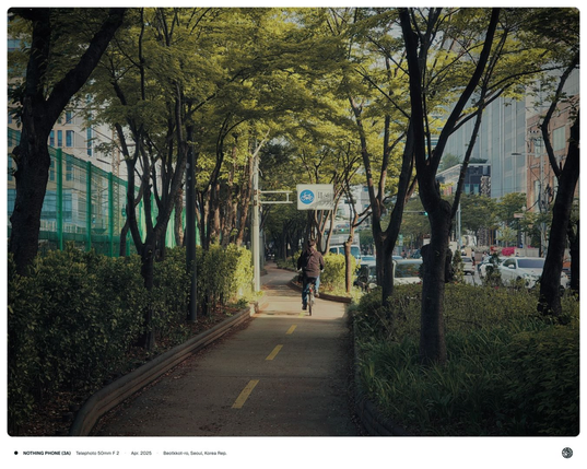 녹음이 우거진 벚꽃로 사이로 햇빛이 드리우고 있으며, 자전거 도로 가운데에는 자전거를 탄 사람이 지나가고 있는 모습.