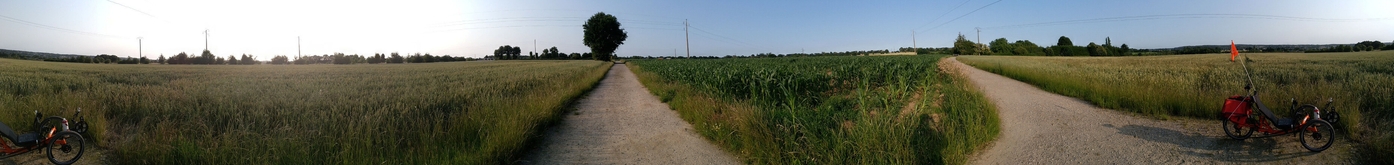 3 wheel bike in the middle of crops