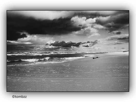 The black-and-white photograph depicts a dramatic seascape. In the foreground, the beach stretches out as powerful waves surge onto the shore, pushing water far onto the sand and leaving behind wet traces. A piece of driftwood or another object rests on the shore, adding to the raw composition. The sea is turbulent, with towering waves creating an intense, almost hypnotic scene.  

Above the horizon, massive, dark clouds dominate the sky, lending the image an ominous, almost apocalyptic mood. Thick and heavy, they seem to press down, emphasizing the untamed power of the sea. The entire scene radiates strength, relentlessness, and the majesty of nature's forces.