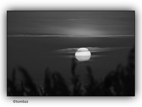 A black and white photograph captures a sunset over the sea. In the foreground, blurred bushes softly merge with the rest of the frame. The sun, partially veiled by light clouds, casts a gentle glow across the sky, creating subtle transitions between bright and darker shades. On the horizon, a thin line of clouds stretches horizontally, adding depth to the landscape. The composition evokes a tranquil, melancholic mood, emphasizing delicate contrasts between different tones of gray.