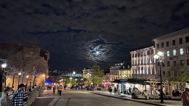 A photo shot at night with a near-full moon looking down the pedestrian walk. 