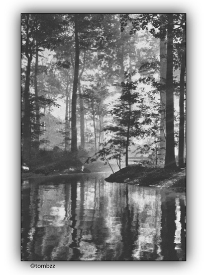 A black and white photo of a peaceful river winding into the distance, surrounded by majestic trees. Some stand out sharply, highlighted by light and shadow, their branches rich with detail. Others seem to fade into a soft photographic haze, like memories captured on film. In the foreground, the water’s surface reflects the silhouettes of the trees, adding depth and a mysterious charm to the scene.