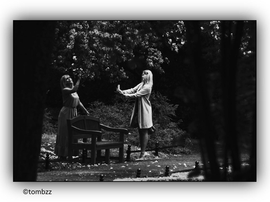 A black-and-white photograph captures a peaceful moment in a park, where two women are engaged in taking a picture. The first woman, standing near a bench, raises her hand towards a tree branch covered in blossoms. She is wearing a long, elegant dress that gracefully drapes over her figure. The second woman, holding a smartphone, captures the scene. She is dressed in a light spring coat that gently falls over her shoulders. In the background, a park pathway stretches between trees, while a wooden bench blends into the serene atmosphere of the setting.