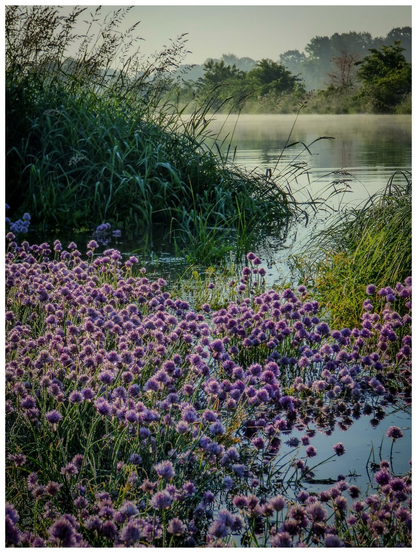 A serene riverside scene with lush greenery and a field of vibrant purple flowers in the foreground. Mist rises from the water in the distance, adding to the tranquil ambiance.