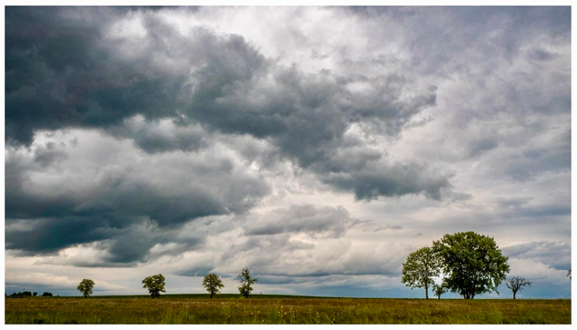 A landscape featuring a grassy field under a dramatic sky filled with dark, cloudy formations. Several trees are scattered throughout the scene, adding contrast to the overcast backdrop.