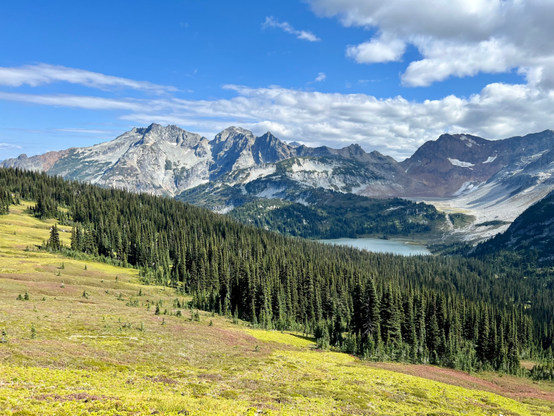 A view of Lyman Lake in the shadow of large rocky mountains. A lush green alpine meadow turns into a dense forest. The lake is turquoise blue. The sky is a brilliant blue with white clouds on the right. 
