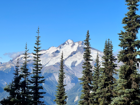 Glacier Peak behind sparse tall trees. It’s a large rocky mountain with several glaciers on the top half. Blue sky. 