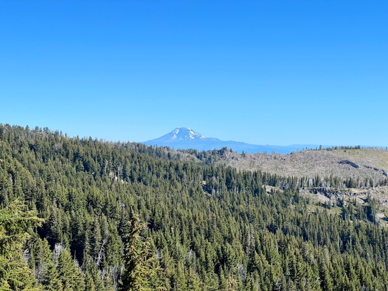 Mount Adams from the Timberline Trail on Mount Hood. Some snow on the peak with a forest in the foreground. 