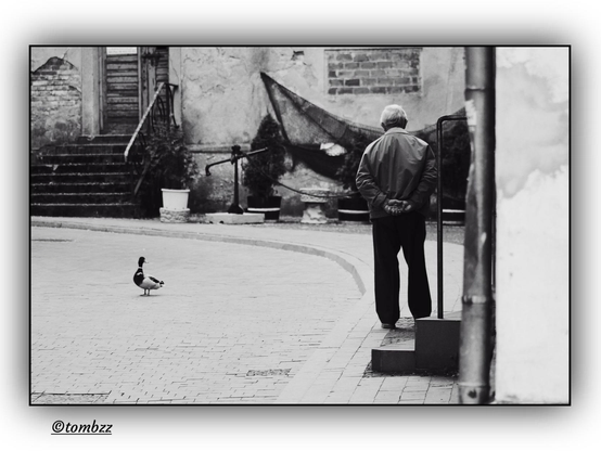 A black-and-white photograph captures a street scene in a small town. On the right, there are steps leading upwards, while on the left, wide concrete stairs descend toward the sidewalk. Old buildings with chipped facades give the place a nostalgic atmosphere. Directly ahead stands an abandoned building with empty windows and weathered walls. Fishing nets are hung on one of the walls, swaying slightly in the breeze.
An elderly man, leaning on a cane, walks slowly along the sidewalk, his posture expressing calm and contemplation. In front of him, standing in the middle of the street, is a duck, seemingly watching him attentively, creating an unusual encounter between two different worlds. The contrast between the stillness of man and animal highlights the melancholic atmosphere of the scene. The play of light and shadow in the black-and-white tones adds depth to the composition.
