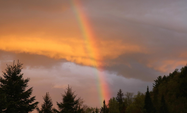 Photograph of one section of a rainbow, crossing clouds reflecting the yellow light of a sunset and some blue sky, its end "touching" an horizon of green trees.