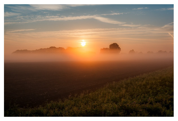 ### Motiv:
Das Bild zeigt einen malerischen Sonnenaufgang über einem nebligen Feld. Die Sonne steht tief am Horizont und taucht die Landschaft in warmes, goldenes Licht. Im Hintergrund sind dunkle Silhouetten von Bäumen sichtbar, die teils im Nebel verschwommen sind. 

### Stimmung und Wirkung:
Die Atmosphäre ist friedlich und beruhigend, mit einem Hauch von Mystik durch den Nebel. Der Sonnenaufgang symbolisiert einen neuen Anfang, was beim Betrachter Hoffnung und einen Gefühlsbogen der Ruhe auslöst. 

### Technische Details:
Das Bild hat sanfte Farben, darunter orange, gold und weiche Blautöne des Himmels. Die Lichtverhältnisse sind angenehm warm, wobei der Nebel sanfte Übergänge zwischen den Farbtönen schafft. Die Komposition ist ausgewogen, wobei der Horizont und die Naturharmonie betont werden.