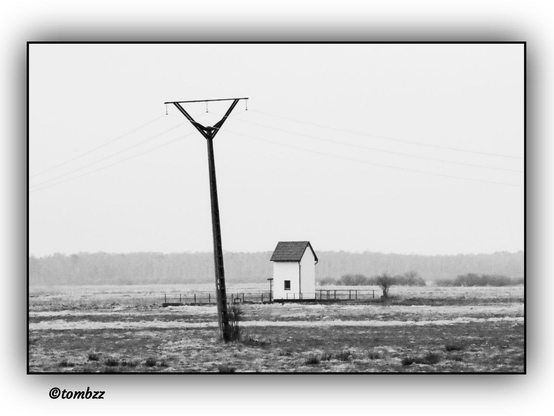 A black-and-white photograph depicts a landscape with a slightly leaning utility pole in the foreground, its wire visibly stretched. In the center, there is a small white building with a gabled roof, surrounded by railings that likely run along a canal, though the canal itself is not clearly visible. Behind the building stands a lone bush, followed by a stretch of low vegetation, and finally, a dense forest lining the horizon. The monochrome color palette gives the image a nostalgic, stark atmosphere.