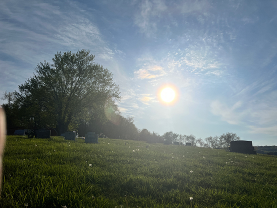 
Sun getting ready to touch the ground soon. 

Photographer is sitting on the ground looking through the camera with sunglasses to capture it. 

High a graveyard in Vanderbilt,PA. I believe it’s union cemetery, still in use. 

The sun feels spectacular! Thanks for those who read alt text. 

I walked up approximately half a mile from my place to get some exercise I have been trying to get in better shape! 

It’s just a work in progress. 

If you were here you would feel the gentle breeze, hear the birds calling their families. I’m too far away to get any decent shot.  

The warm sun on you feels so goood omg! 
Rejuvenating for a chilly slightly windy day! 

I don’t see any rabbits! They must be hiding I generally see a few up here. 

I don’t have a dslr or z9 just my iPhone 13. 

I don’t really like carrying around 10 things unless it’s in a backpack+I like practical stuff easy access.

 I love photography and birds, bugs, plants, cats and especially “Nature” and music.
I was listening to Taylor Swifts new album.
Tortured Poets Department!
Yes I’m a fan haha, no shame here. She’s awesome!
Not idol status but I appreciate her music.
  Story contd next picture.

