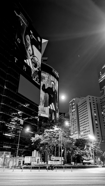 Black and white photo of a lone motorcyclist riding through the streets at night. Huge skyscrapers surround the street with trees in the centre of the photo.
Bright lights shine. There are electronic advertising screens on some of the skyscrapers.
