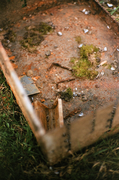Colored photography of a rusty metallic structure (shaped like a box) with rusty tools and keys inside. there is also moss and grass outside.