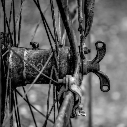 Das Hinterrad von einem alten Fahrrad. Man sieht eine alte Flügelmutter und auch einen Schmiernippel auf der Achse. Das Foto ist in Schwarzweiß.