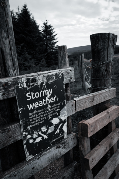 Monochrome shot of warning signs on edge of forest 