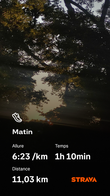 Capture d’écran Strava sur fond de forêt sombre au lever du jour. Les feuilles d’arbres forment une voûte dense, à travers laquelle passent quelques rayons dorés. En bas de l’image, les données de la course s’affichent : 11,03 km en 1h10, allure moyenne de 6:23/km. L’ambiance visuelle est feutrée et calme, entre ombre fraîche et lumière naissante