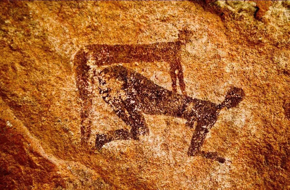 The image depicts a petroglyph, a form of prehistoric art carved into a rock surface. The carving appears to represent a human figure in a dynamic pose, possibly dancing or performing a ritual. The figure is outlined with dark shading, suggesting the use of a tool to etch the design into the stone. The background is a natural, weathered rock face, indicating the petroglyph's age and exposure to the elements over time. This type of art is often found in archaeological sites and provides insights into the cultural and spiritual practices of ancient societies.