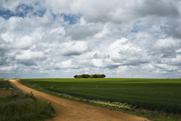 A landscape of green fields with a dirt road crossing it an a cluody sky