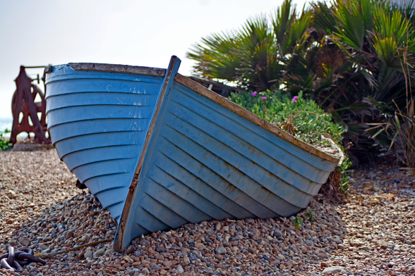 Photograph of a blue-painted fishing boat which has rested on the pebbles of Brighton beach for so long that self-seeded plants have managed to start growing inside.