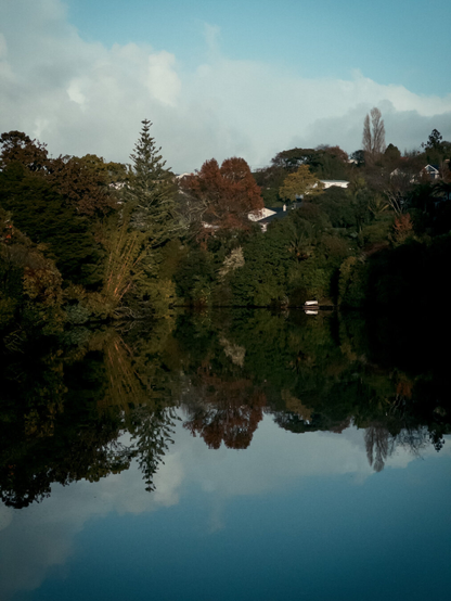 Autumn colours on trees and and roofs of suburban houses reflecting in still water under blue sky and white clouds.