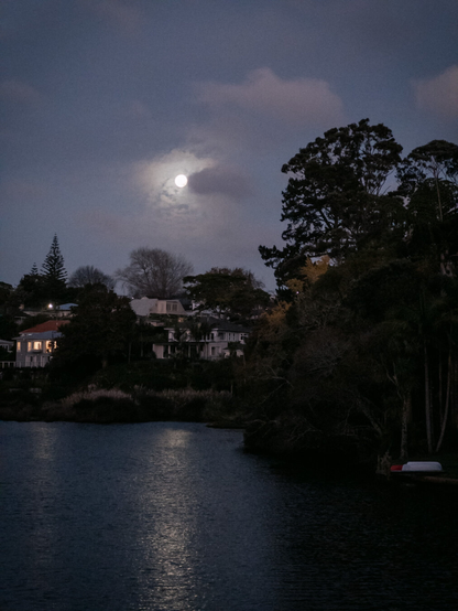 Full moon rising over windblown suburban waterway, tall trees silhouette, scattered houses and lights in windows.