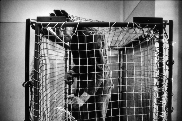 un patient enfermé dans une cage de contention aux parois de filet dans un hôpital psychiatrique italien