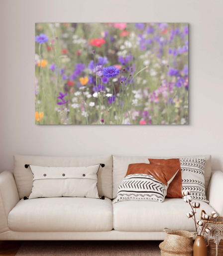 A vibrant meadow features a mix of wildflowers, with purple blossoms standing out amidst a sea of diverse colors. The soft focus in the background emphasizes the beauty of the flowers in the foreground.