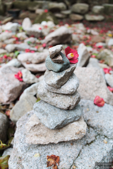 The red flower on the cairn.