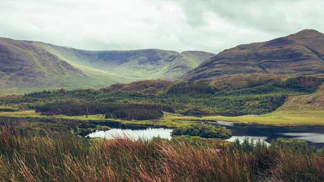 a body of water in a valley filled with greenery