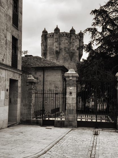Una fotografía en blanco y negro muestra una entrada a un recinto amurallado. Una torre de piedra de estilo medieval, con almenas y detalles arquitectónicos ornamentados, se alza al fondo.  A su lado, un edificio de piedra de estilo similar pero más moderno,  con una puerta de reja de hierro forjado.  Un camino de adoquines conduce a la entrada, flanqueado por paredes de piedra.  Un árbol frondoso se encuentra parcialmente en la escena, a la derecha. El ambiente es sombrío y evoca una atmósfera histórica.