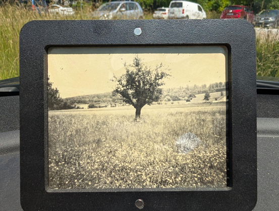 A warm-tone 4x5 black and white photo of a landscape with a tree in a drying frame 