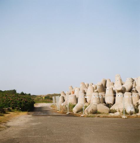 Square format photo of a pile of tetrapods with googly eyes painted onto them.