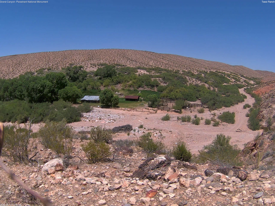 View of Tassi Ranch (Grand Canyon-Parashant National Monument) today, a sea of green in an otherwise dry and rocky Mojave Desert environment. Culturally and historically significant, remote and difficult to access, this NPS site documents that ever-important need to “organize around water.” Natural springs are found here, surrounded by rocks and creosote, cliffs and canyons. Above it all is a cloudless blue sky. 