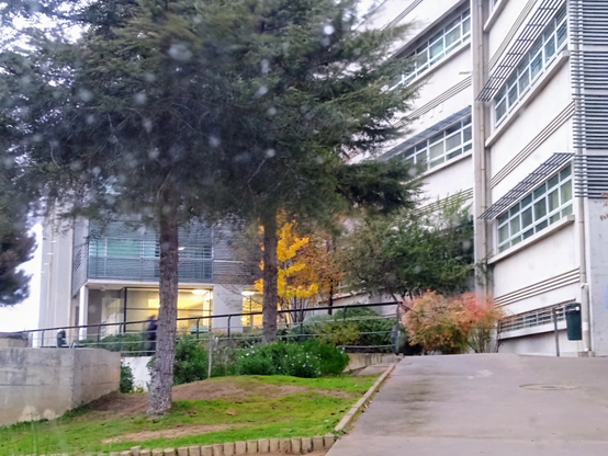 Vista parcial de la Facultad de una Casa Universitaria en Chile.

Parte de jardines en otoño, el frontis del edificio de oficinas. En medio, un árbol con sus hojas de amarillo brillante ya en otoño.